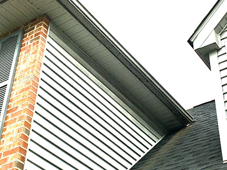 Gutter cleaning in bethlehem pa preventing water damage from local tree canopy drop