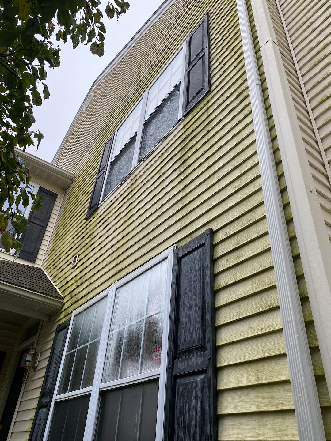 Amazing House Washing Project in Palmer Township - Easton PA