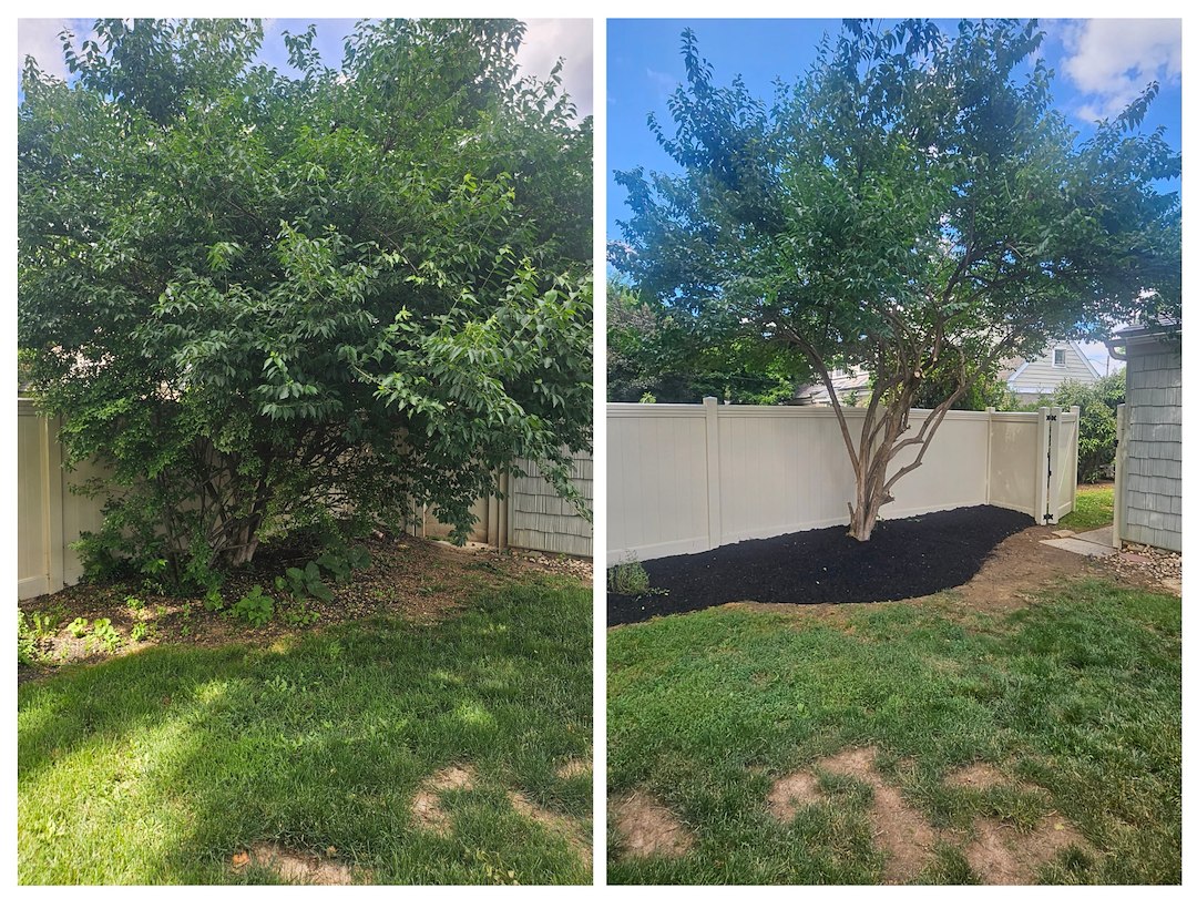 Backyard Transformation: Expert Tree Trimming & Mulching in Bethlehem, PA