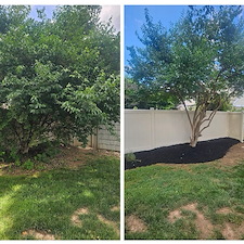 Backyard-Transformation-Expert-Tree-Trimming-Mulching-in-Bethlehem-PA 0