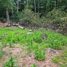 Expert-Landscaping-and-Lot-Clearing-in-Jackson-Township-Stroudsburg-PA 2