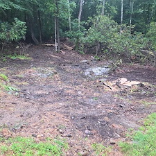 Expert-Landscaping-and-Lot-Clearing-in-Jackson-Township-Stroudsburg-PA 7