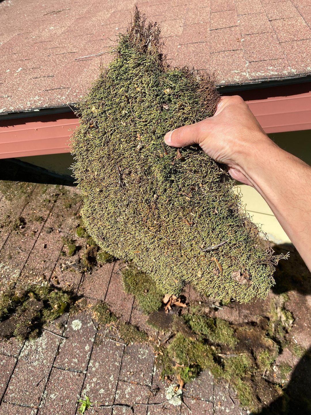 Expert Roof Cleaning Albrightsville PA - Water Brothers Pressure Washing LLC