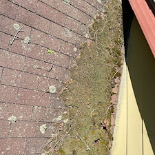 Expert-Roof-Cleaning-Albrightsville-PA-Water-Brothers-Pressure-Washing-LLC 0