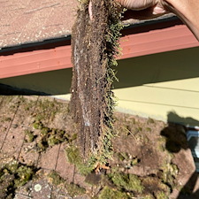 Expert-Roof-Cleaning-Albrightsville-PA-Water-Brothers-Pressure-Washing-LLC 2