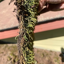 Expert-Roof-Cleaning-Albrightsville-PA-Water-Brothers-Pressure-Washing-LLC 3