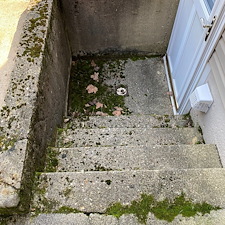 Patio-Perfection-in-Easton-PA-A-Water-Brothers-Soft-Washing-Success 2