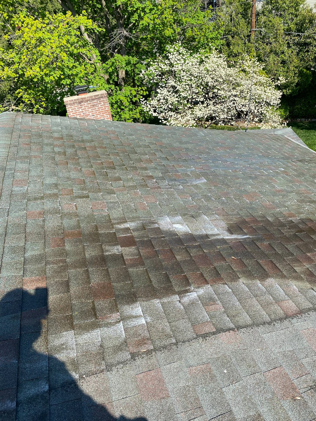 Roof Cleaning Professionals in Bethlehem PA