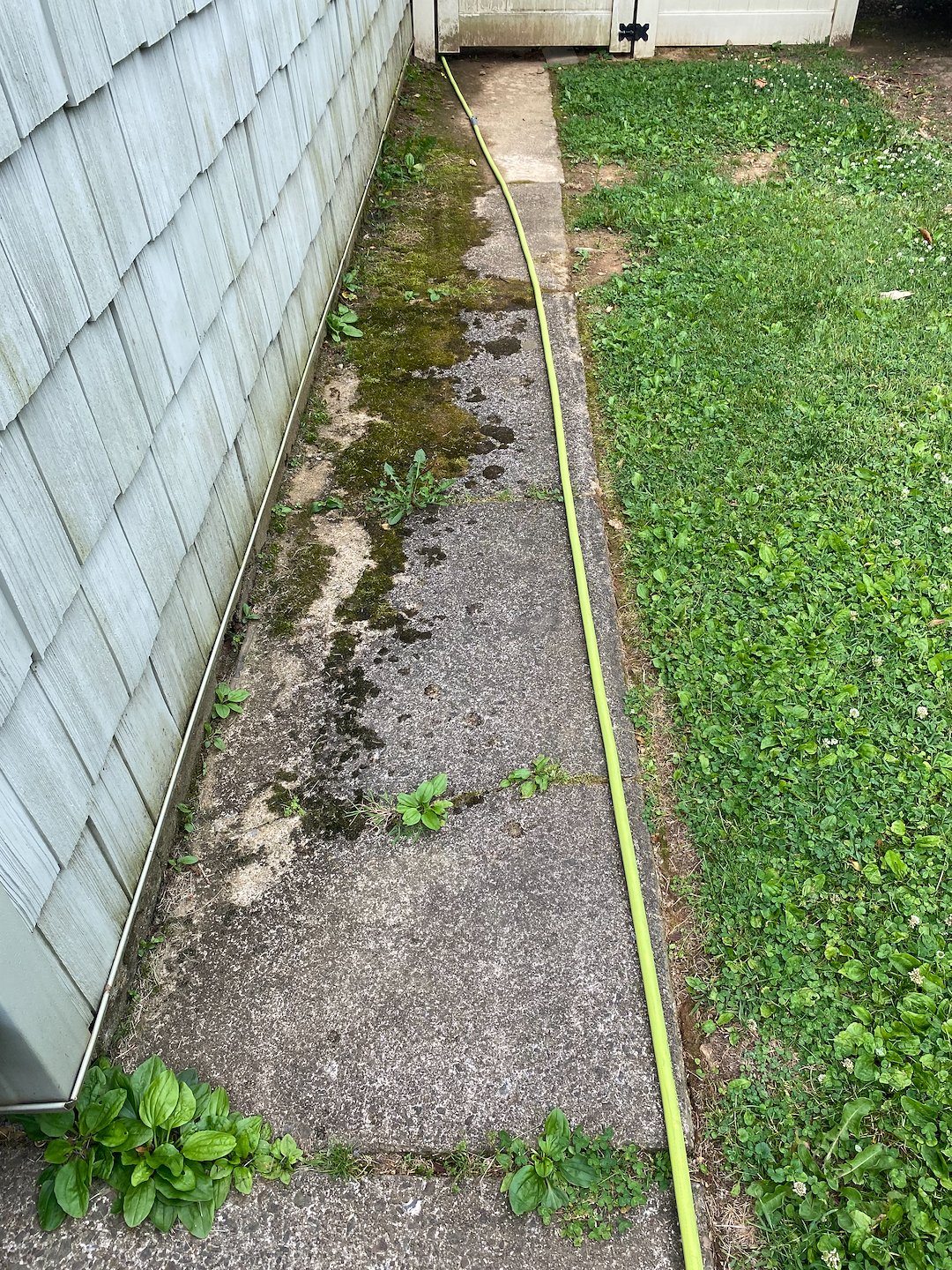 Sideway & Driveway Washing & Mildew Remediation in Bethlehem, PA | Water Brothers Pressure Washing