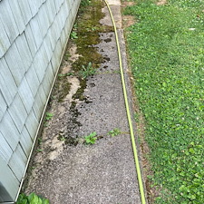 Sideway-Driveway-Washing-Mildew-Remediation-in-Bethlehem-PA-Water-Brothers-Pressure-Washing 4