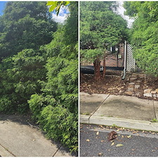 Top-Landscaping-Service-in-Hellertown-Bethlehem-PA-Yard-Cleanup 7