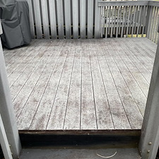Trex-Deck-Cleaning-in-Bethlehem-PA-Safe-Black-Mold-Removal-Specialist 0