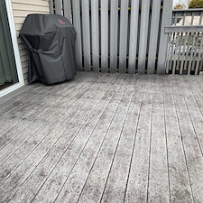 Trex-Deck-Cleaning-in-Bethlehem-PA-Safe-Black-Mold-Removal-Specialist 2