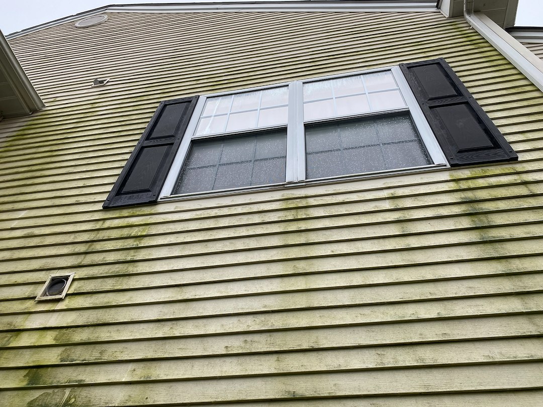 Your house washing - soft washing experts in Palmer Township PA